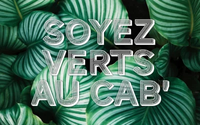 Un cabinet comptable plus écolo